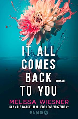 Cover for Melissa Wiesner · It all comes back to you - Kann die wahre Liebe jede Lüge verzeihen? (Book) (2024)