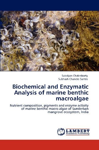 Cover for Subhash Chandra Santra · Biochemical and Enzymatic Analysis of Marine Benthic Macroalgae: Nutrient Composition, Pigments and Enzyme Activity of Marine Benthic Macro Algae of Sunderban Mangrove Ecosystem, India (Paperback Book) (2012)