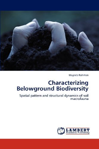 Cover for Mujeeb Rahman · Characterizing Belowground Biodiversity: Spatial Pattern and Structural Dynamics of Soil Macrofauna (Paperback Book) (2012)