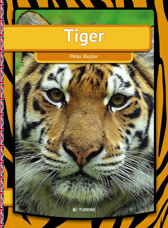 Cover for Peter Bejder · My First Book: Tiger (Bound Book) [Eng., 1.1 edition] (2014)