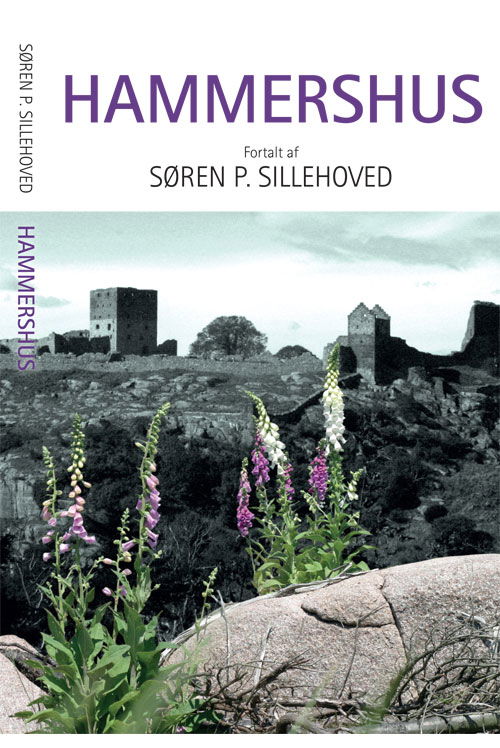 Cover for Søren P. Sillehoved · Hammershus (Book) [1st edition] (2014)