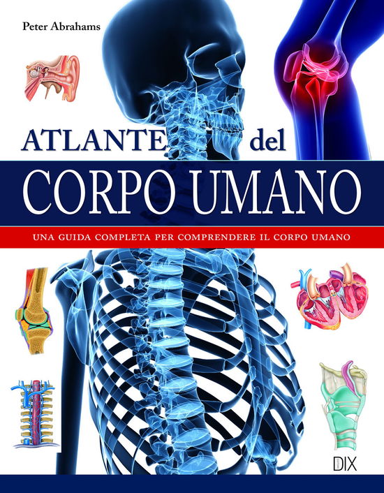 Cover for Peter Abrahams · Atlante Del Corpo Umano (Book)