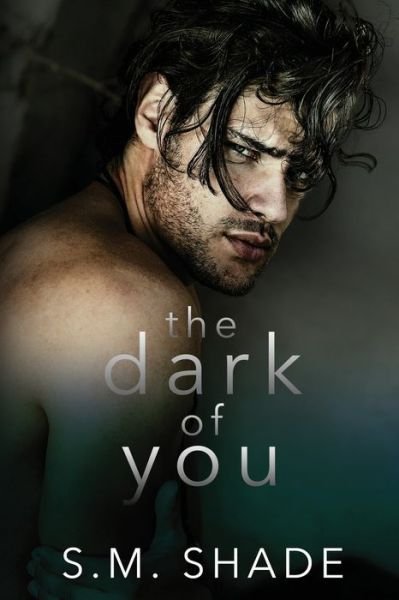 Cover for S M Shade · The Dark of You (Pocketbok) (2021)