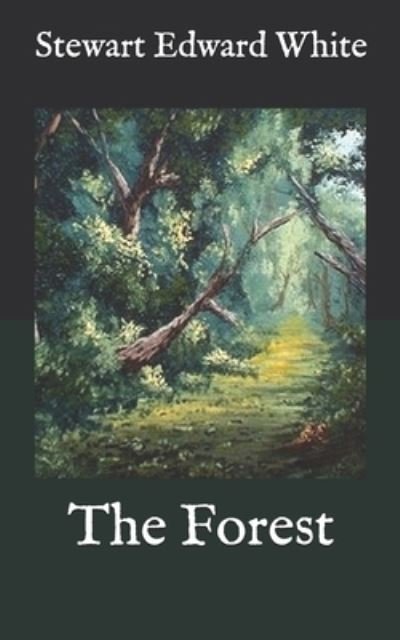 The Forest - Stewart Edward White - Livres - Independently Published - 9798586333438 - 26 décembre 2020