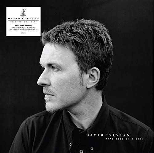 Cover for David Sylvian · Dead Bees on a Cake (LP) (2018)