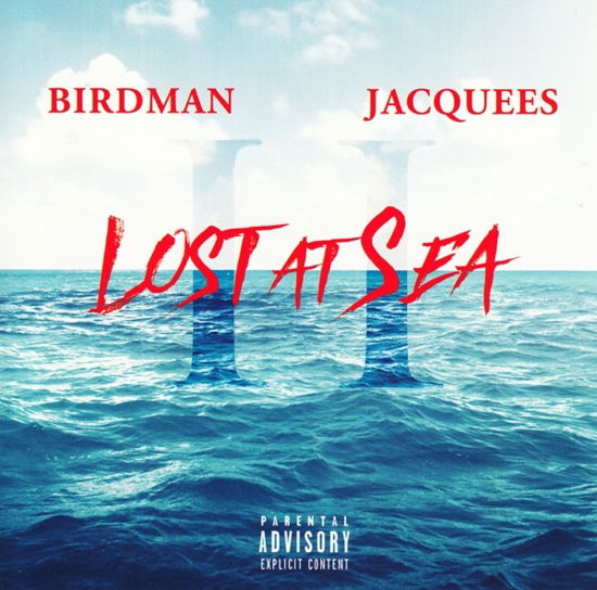 Lost At Sea - Birdman - Musik - UNIVERSAL - 0602577333439 - 11. januar 2019