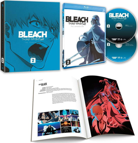 Bleach: Thousand-year Blood War Part 2 - Bleach: Thousand-year Blood War Part 2 - Filmes - Viz Media - 0782009248439 - 22 de outubro de 2024