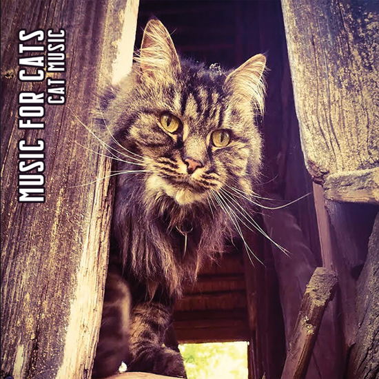 Cover for Music for Cats · Cat Music (CD) [Limited edition] [Digipak] (2023)