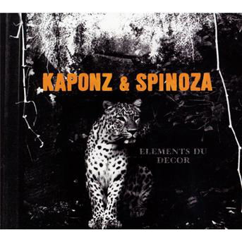 Elements Du Decor - Kaponz & Spinoza - Music - NAIVE - 3298498182439 - September 10, 2009