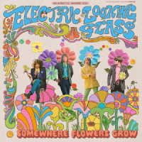 Cover for Electric Looking Glass · Somewhere Flowers Grow (CD) [Japan Import edition] (2022)