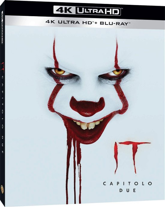 It - Capitolo 2 - Jessica Chastain,bill Hader,james Mcavoy - Film - NEW LINE - 5051891173439 - 19. desember 2019