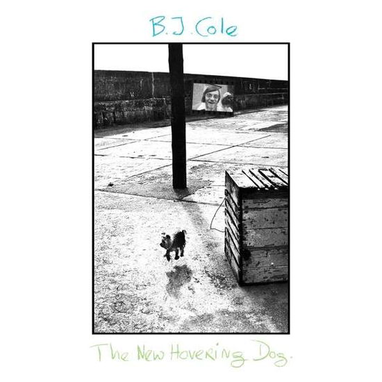 The New Hovering Dog - Bj Cole - Musiikki - EAST CENTRAL ONE - 5060051333439 - perjantai 5. tammikuuta 2018