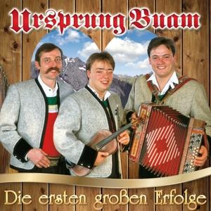 Die Ersten Grossen Erfolgen - Ursprung Buam - Music - MCP - 9002986699439 - August 25, 2017