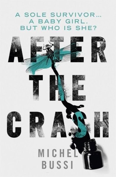 Cover for Michel Bussi · After the Crash (Paperback Book) (2015)