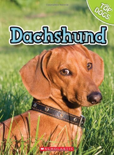 Cover for Linda George · Dachshund (Top Dogs (Children's Press)) (Hardcover Book) (2010)