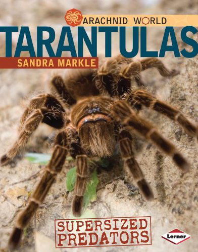 Cover for Sandra Markle · Tarantulas: Supersized Predators (Arachnid World) (Hardcover Book) (2012)