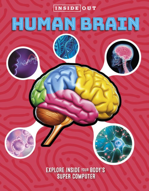 Cover for Editors of Chartwell Books · Inside Out Human Brain: Explore Inside Your Body's Super Computer - Inside Out, Chartwell (Hardcover Book) (2023)