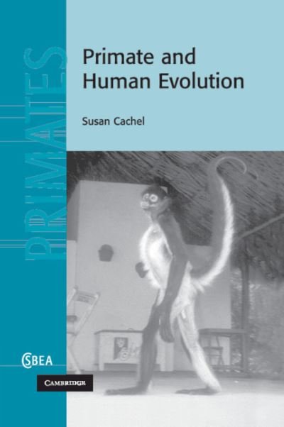 Cover for Cachel, Susan (Rutgers University, New Jersey) · Primate and Human Evolution - Cambridge Studies in Biological and Evolutionary Anthropology (Paperback Book) (2021)