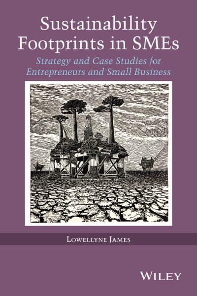 Cover for Lowellyne James · Sustainability Footprints in SMEs: Strategy and Case Studies for Entrepreneurs and Small Business (Hardcover Book) (2015)