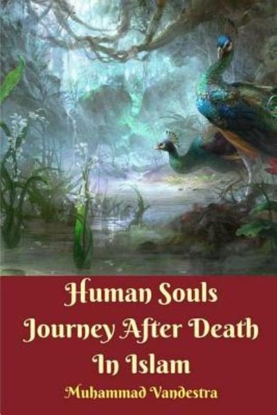 Cover for Muhammad Vandestra · Human Souls Journey After Death In Islam (Paperback Book) (2024)