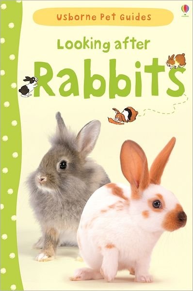 Looking after Rabbits - Pet Guides - Fiona Patchett - Bøger - Usborne Publishing Ltd - 9781409532439 - 2013
