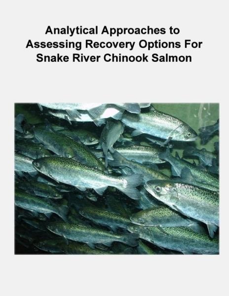 Cover for Phaedra Budy · Analytical Approaches to Assessing Recovery Options for Snake River Chinook Salmon (Pocketbok) (2012)