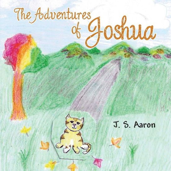 Cover for J S Aaron · The Adventures of Joshua (Paperback Book) (2013)