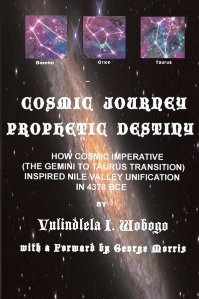 Cover for Vulindlela Ijiola Wobogo · Cosmic Journey, Prophetic Destiny (Paperback Book) (2017)
