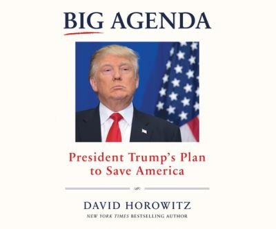 Cover for David Horowitz · Big Agenda (CD) (2017)
