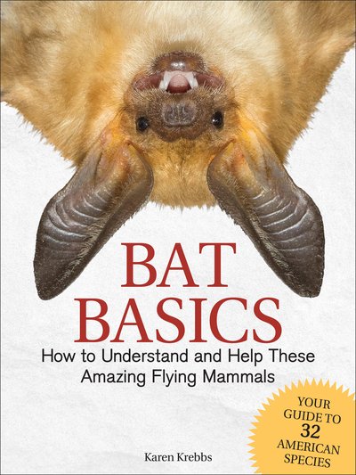 Cover for Karen Krebbs · Bat Basics: How to Understand and Help These Amazing Flying Mammals (Paperback Book) (2019)