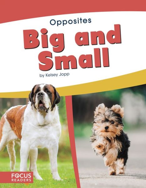 Cover for Kelsey Jopp · Big and Small - Opposites (Hardcover Book) (2019)