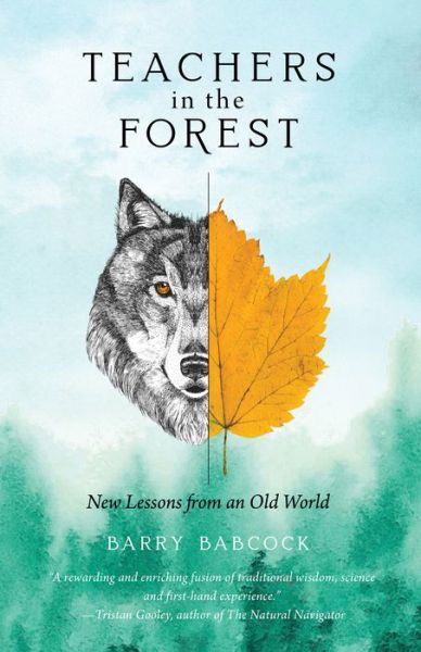 Teachers in the Forest: New Lessons from an Old World - Barry Babcock - Books - Riverfeet Press - 9781736089439 - June 23, 2022