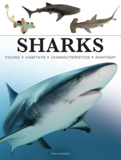 Cover for Tom Jackson · Sharks &amp; Underwater Predators - Mini Animals (Pocketbok) (2024)
