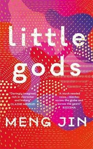 Cover for Meng Jin · Little Gods (Paperback Book) (2021)