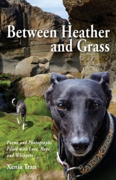 Cover for Xenia Tran · Between Heather and Grass (Pocketbok) (2019)