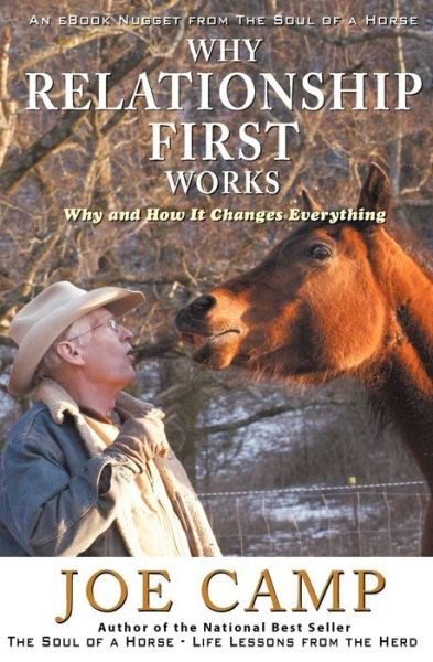 Cover for Joe Camp · Why Relationship First Works: Why and How It Changes Everything (Paperback Bog) (2012)