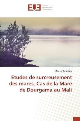 Cover for Coulibaly · Etudes de surcreusement des m (Book)