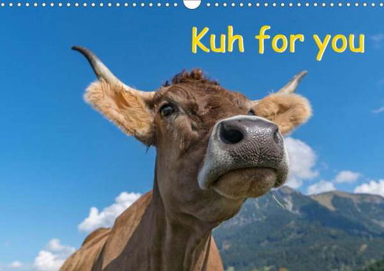 Cover for Kaina · Kuh for you (Wandkalender 2020 DI (Book)