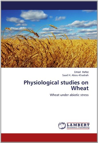 Physiological Studies on Wheat: Wheat Under Abiotic Stress - Saad H. Abou-khadrah - Libros - LAP LAMBERT Academic Publishing - 9783848494439 - 26 de junio de 2012