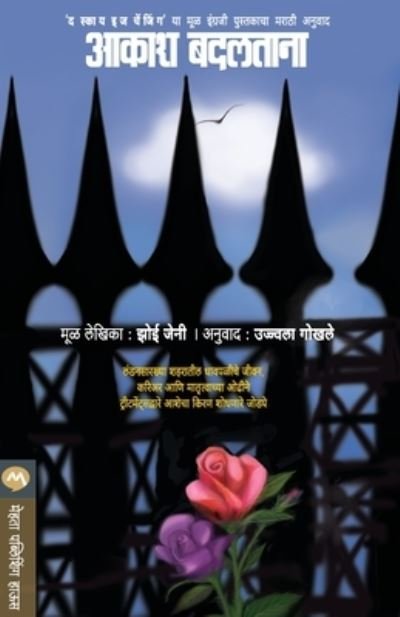 Cover for Zoe Jenny · Aakash Badaltana (Paperback Book) (2013)