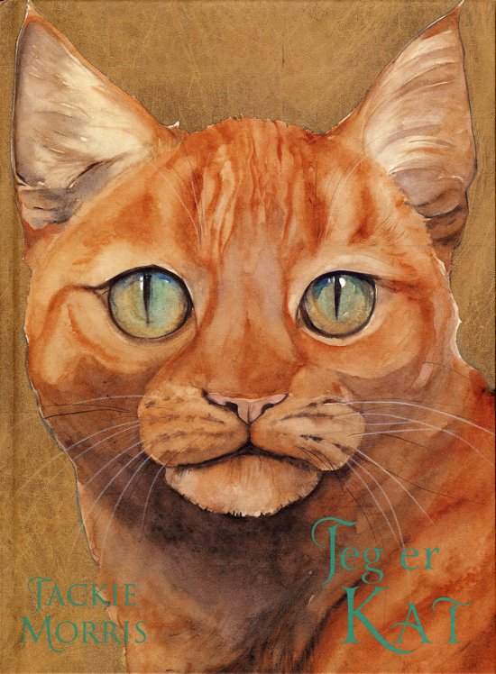 Cover for Jackie Morris · Jeg er Kat (Innbunden bok) [1. utgave] (2012)