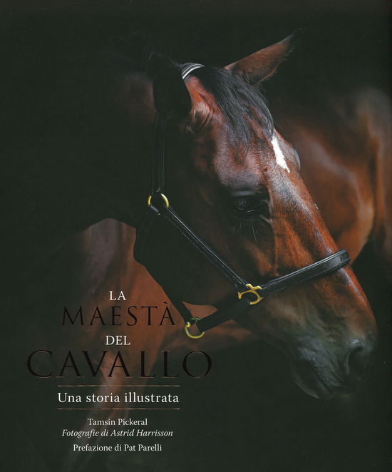 Cover for Mike Unwin · La Maesta Del Cavallo. Una Storia Illustrata. Ediz. Illustrata (Book)