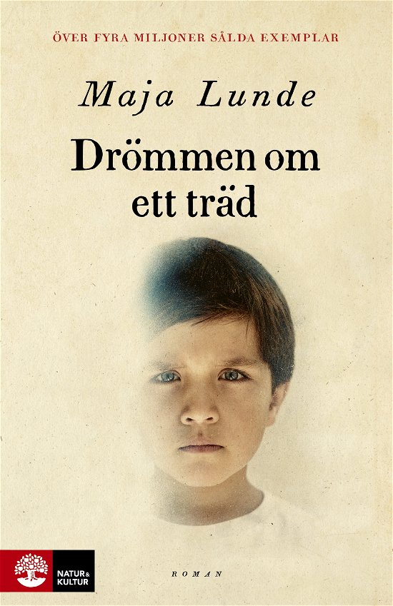 Cover for Maja Lunde · Drömmen om ett träd (Paperback Bog) (2024)