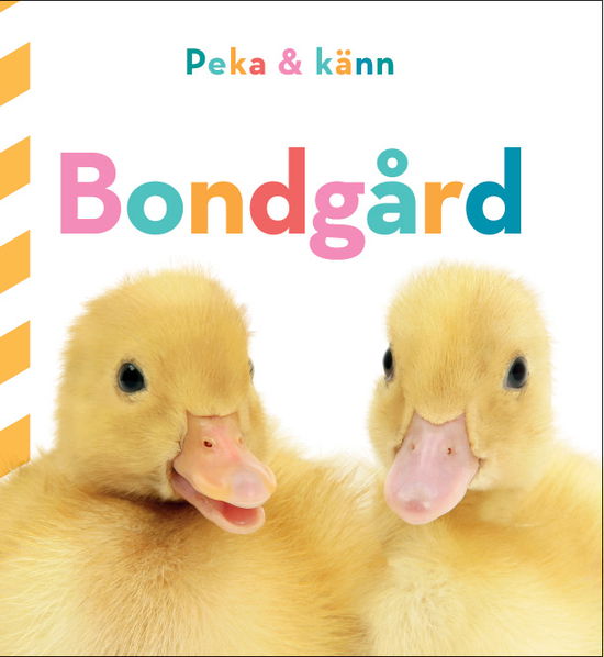 Cover for Dawn Sirett · Peka och känn: Bondgård (Board book) (2023)