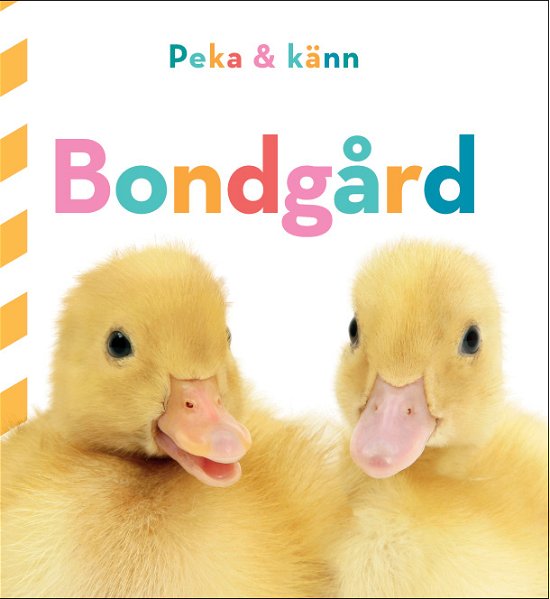 Cover for Dawn Sirett · Peka och känn: Bondgård (Kartonbuch) (2023)