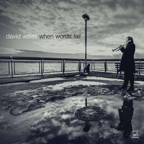 When Words Fail - David Weiss - Muziek - JAZZ - 0181212001440 - 27 oktober 2017