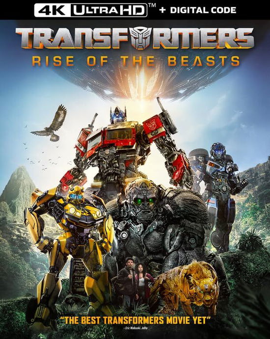 Cover for Transformers: Rise of the Beasts (4K UHD Blu-ray) (2023)