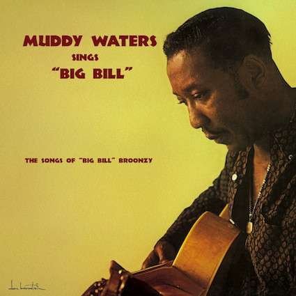 Cover for Muddy Waters · Muddy Waters Sings Big Bill Broonzy (LP) (2016)