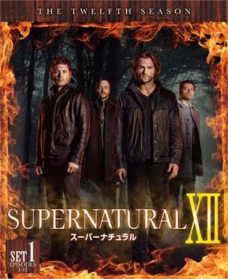 Cover for Jared Padalecki · Supernatural Season 12 (MDVD) [Japan Import edition] (2018)
