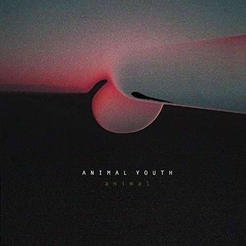 Animal - Animal Youth - Musik - WEYRD SON RECORDS - 5055869558440 - 2. juni 2017